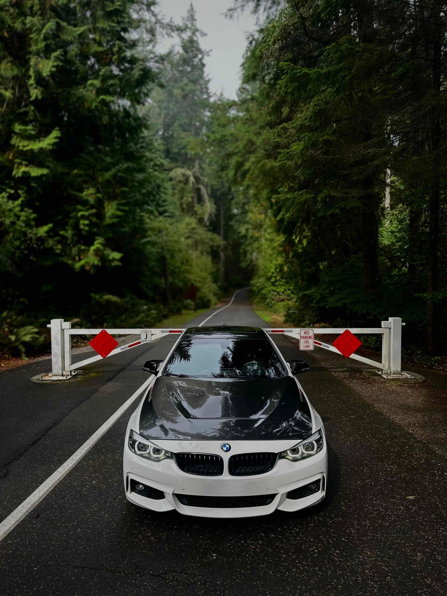 GTS Style Carbon Fiber Hood - BMW F80 M3 | F82 M4 | F83 M4