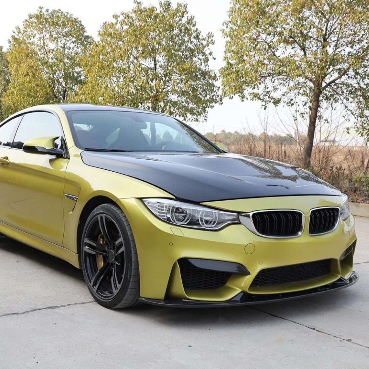 GTS Style Carbon Fiber Hood - BMW F80 M3 | F82 M4 | F83 M4